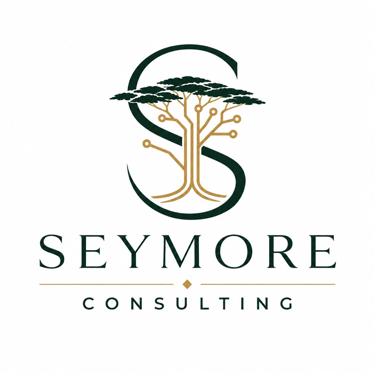 Seymore Consulting